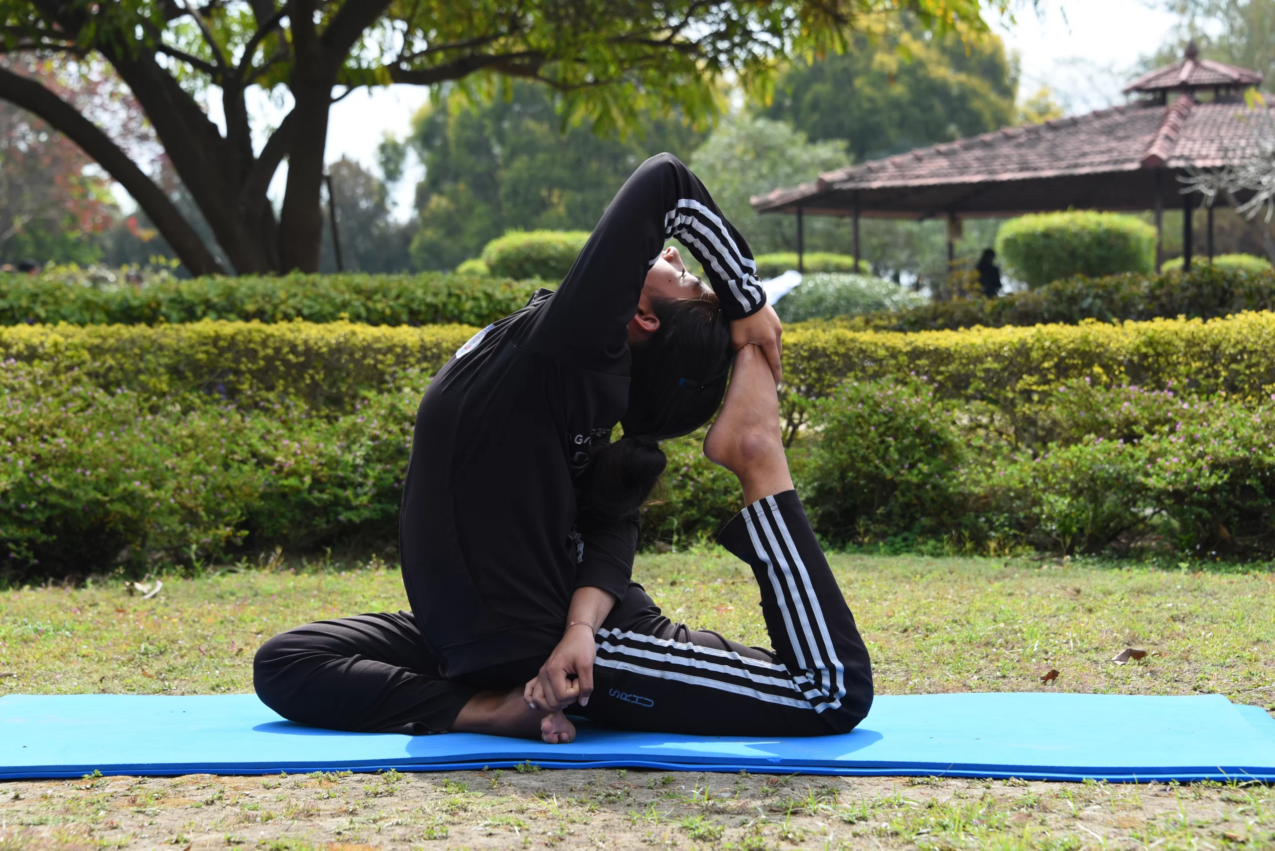 B.Sc. Yoga Science & Holistic Health at GHSST, Toli campus
