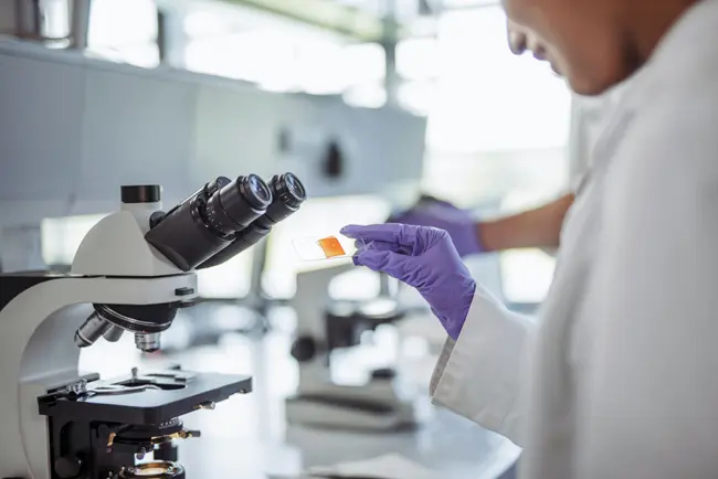 M.Sc. Microbiology