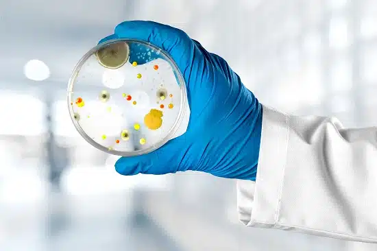 Microbiology
