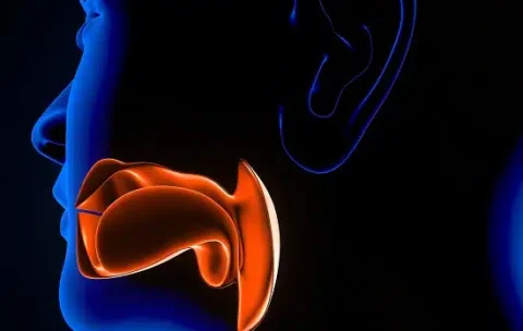 Otorhinolaryngology_iStock-1157479261.jpg