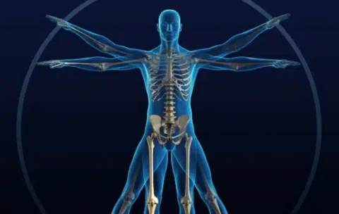 Physiology_iStock-157315276.jpg