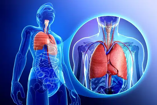 Pulmonary Medicine