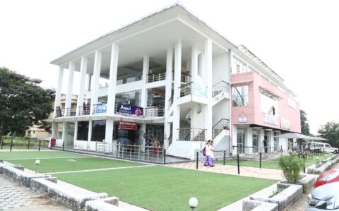 stores