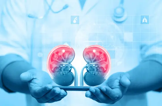 M. Ch. Urology