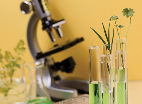 heath-biotech