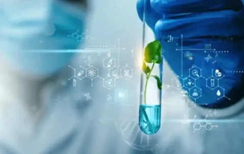 M.Sc.-Biotechnology