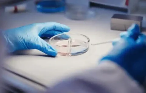MSc-PharmaceuticalChemistry