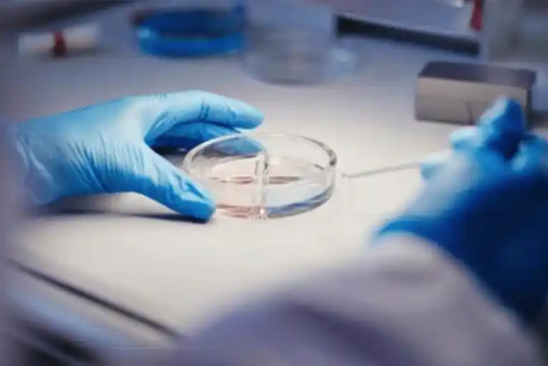 MSc Pharmaceutical Chemistry