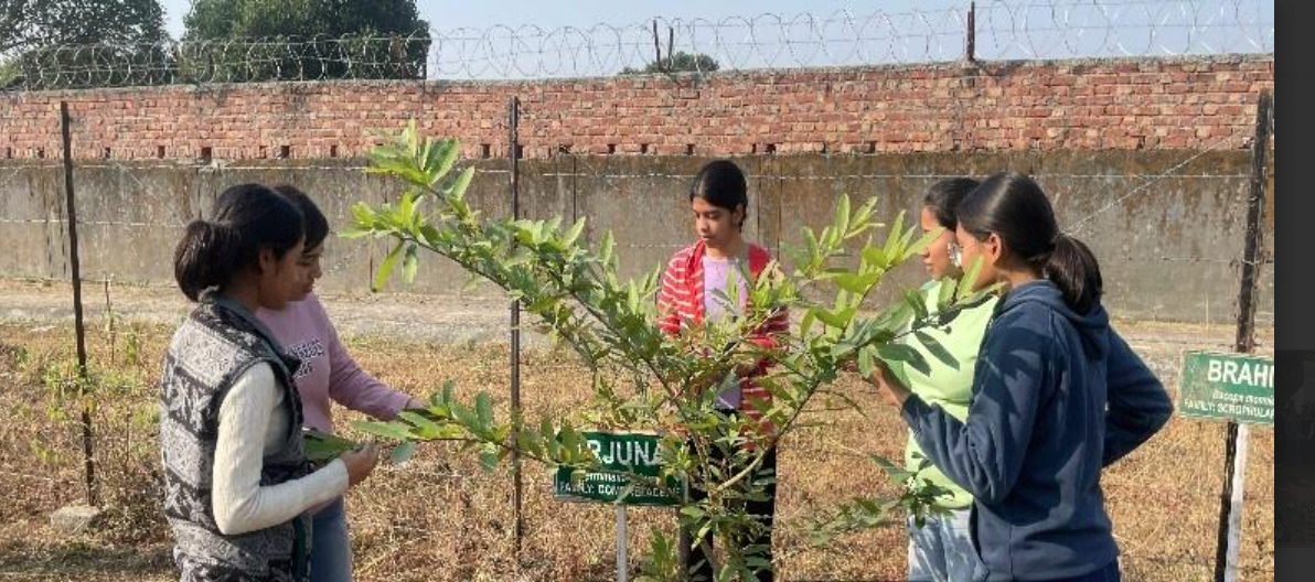 Screenshot 2025-12-13 092715