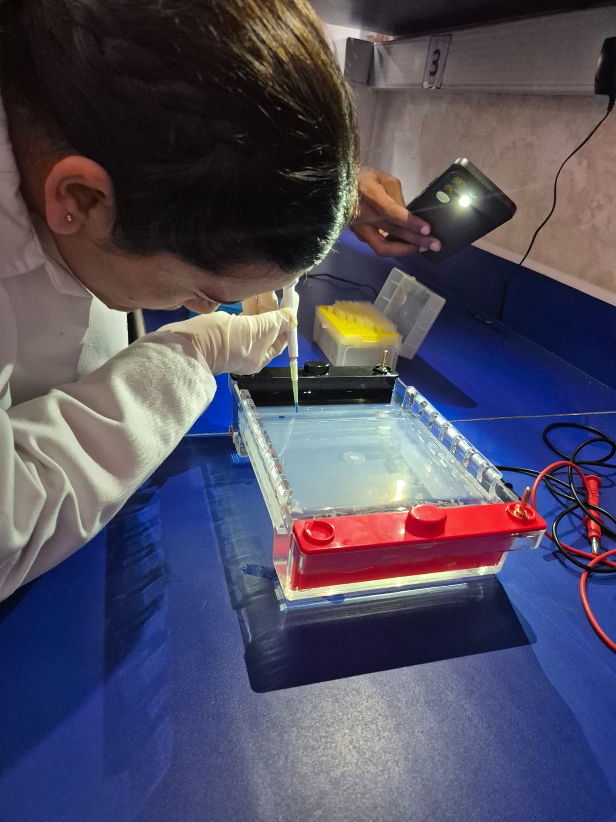 WhatsApp Image 2026-03-02 at 14.57.27